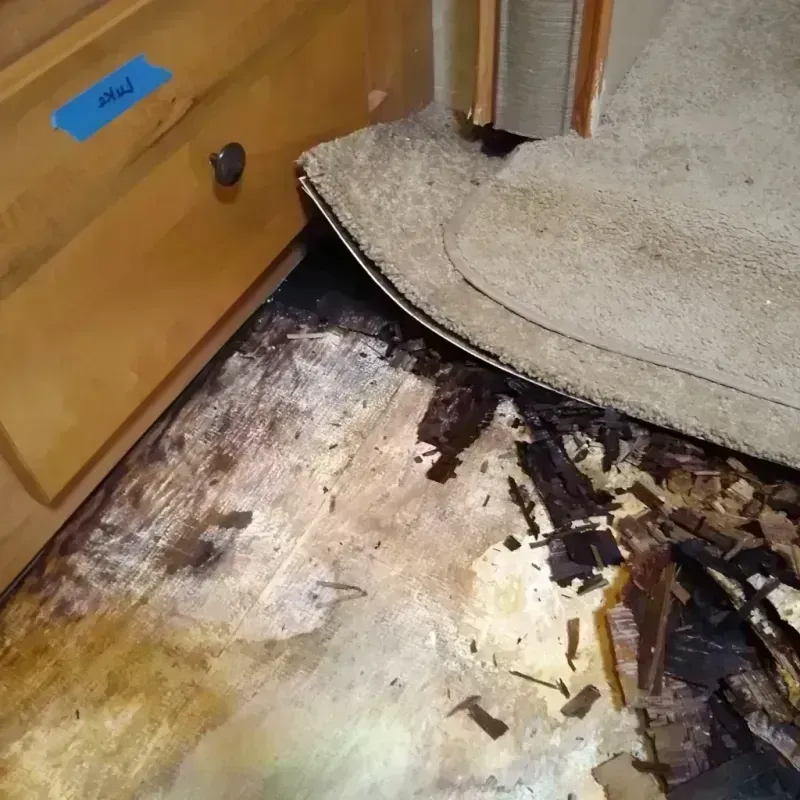 Wood Floor Water Damage in Ketchikan Gateway Borough, AK